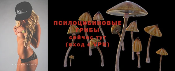спайс Алексин