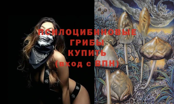 spice Алзамай