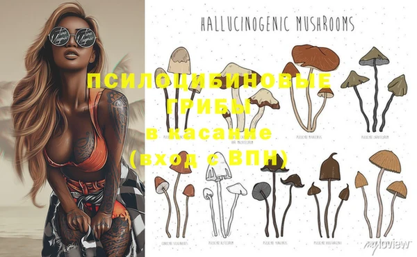 spice Алзамай