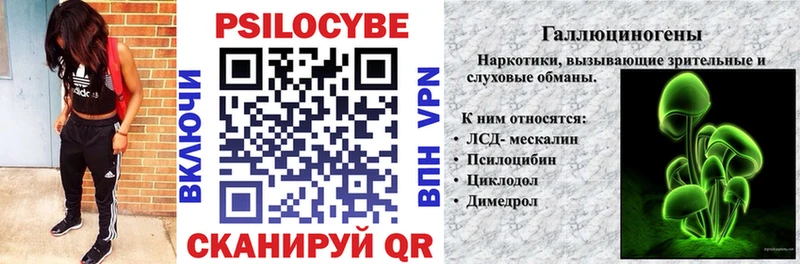 Галлюциногенные грибы Psilocybe  Черемхово 